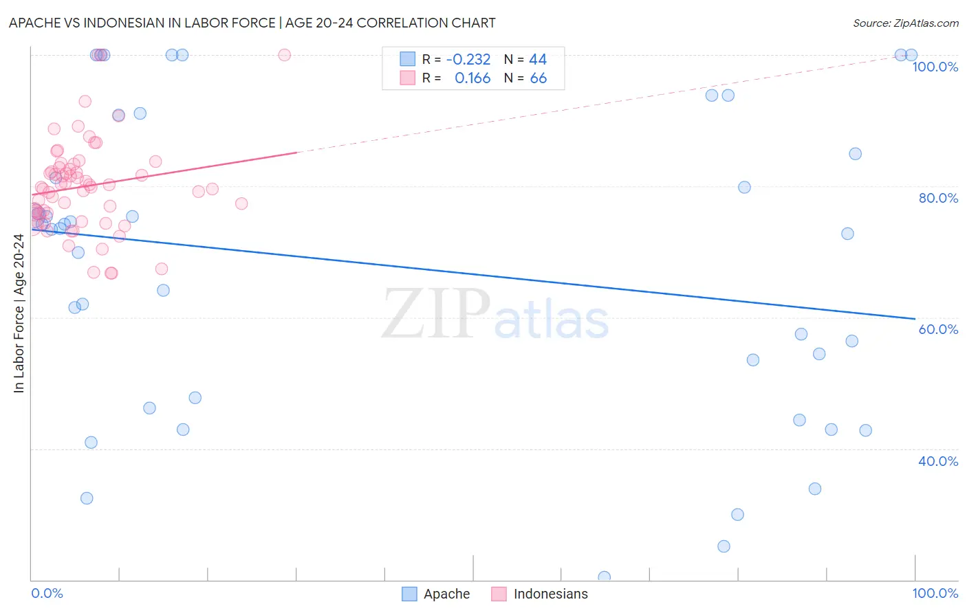 Apache vs Indonesian In Labor Force | Age 20-24