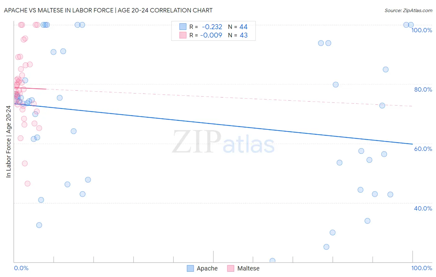 Apache vs Maltese In Labor Force | Age 20-24