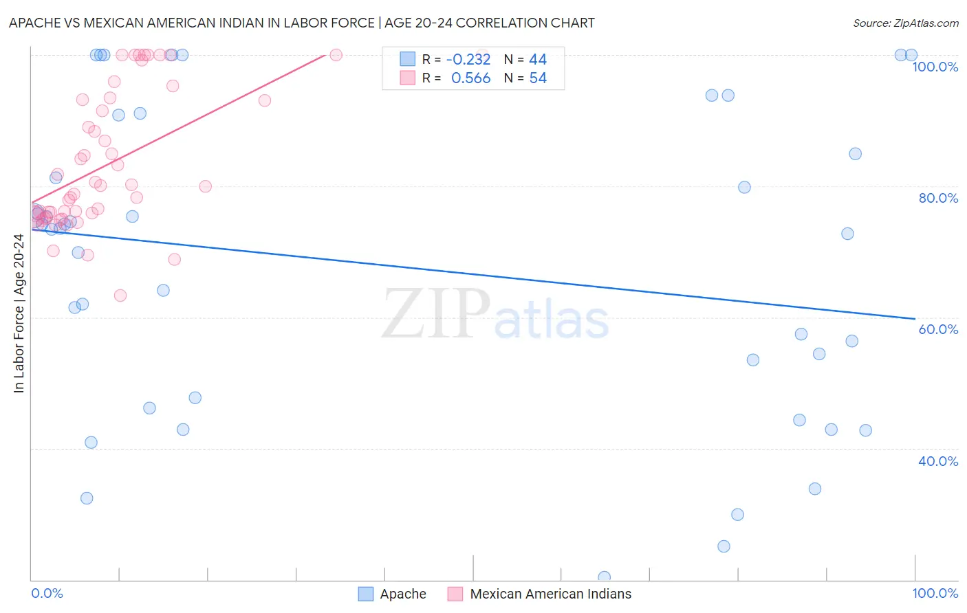 Apache vs Mexican American Indian In Labor Force | Age 20-24