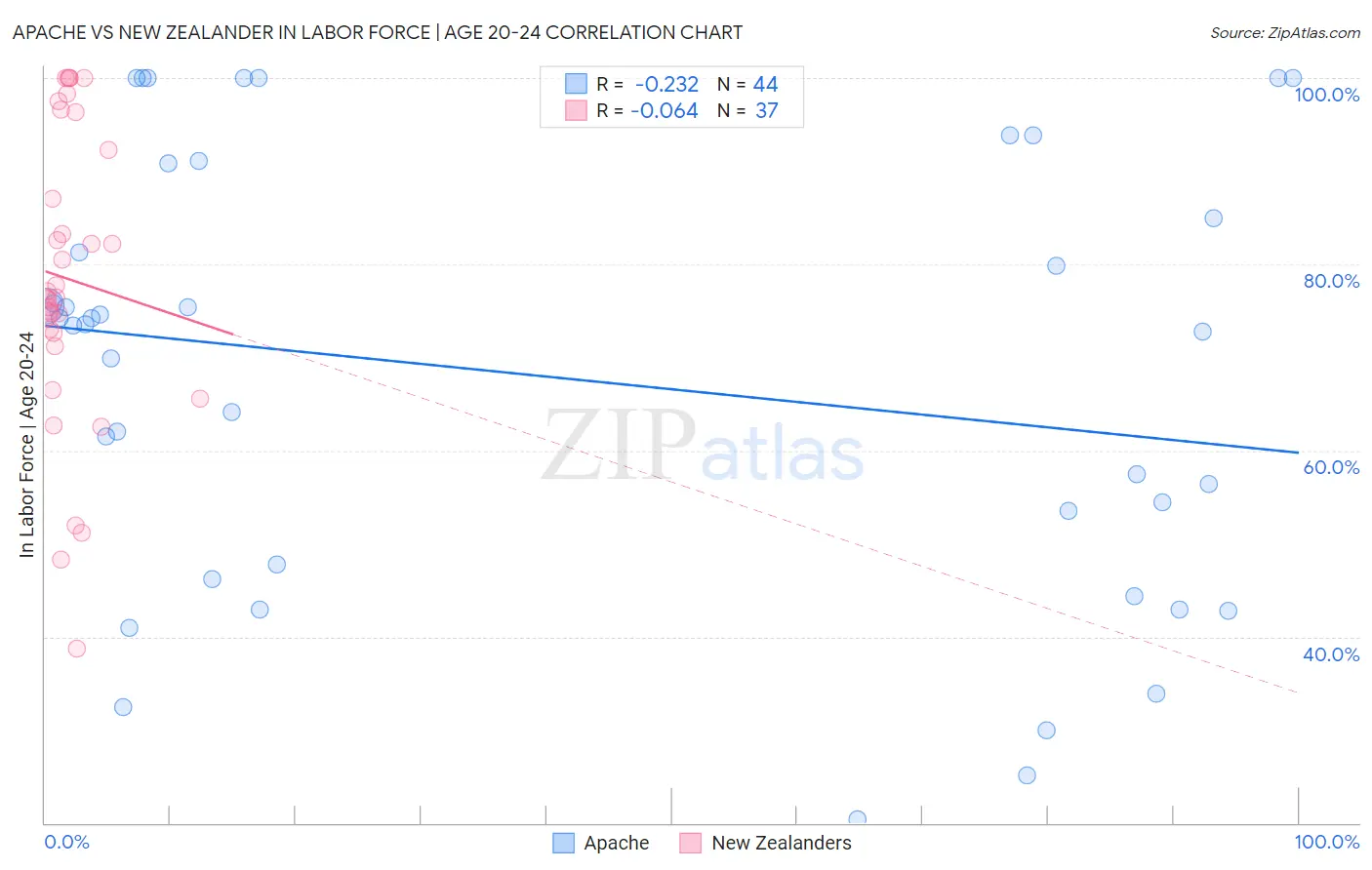 Apache vs New Zealander In Labor Force | Age 20-24
