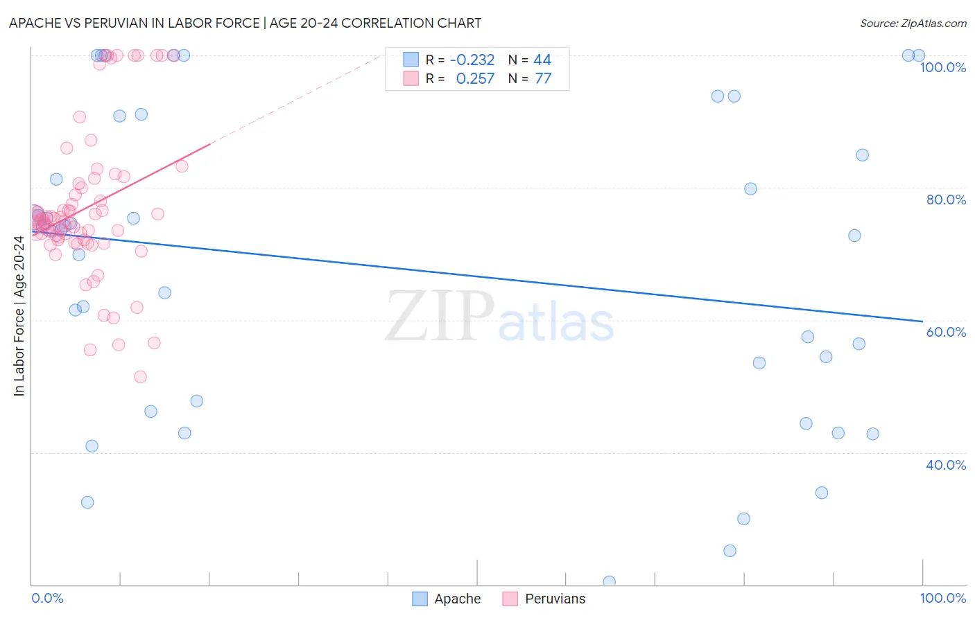 Apache vs Peruvian In Labor Force | Age 20-24