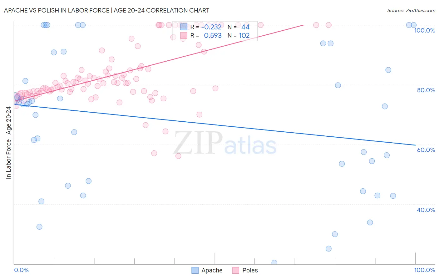 Apache vs Polish In Labor Force | Age 20-24