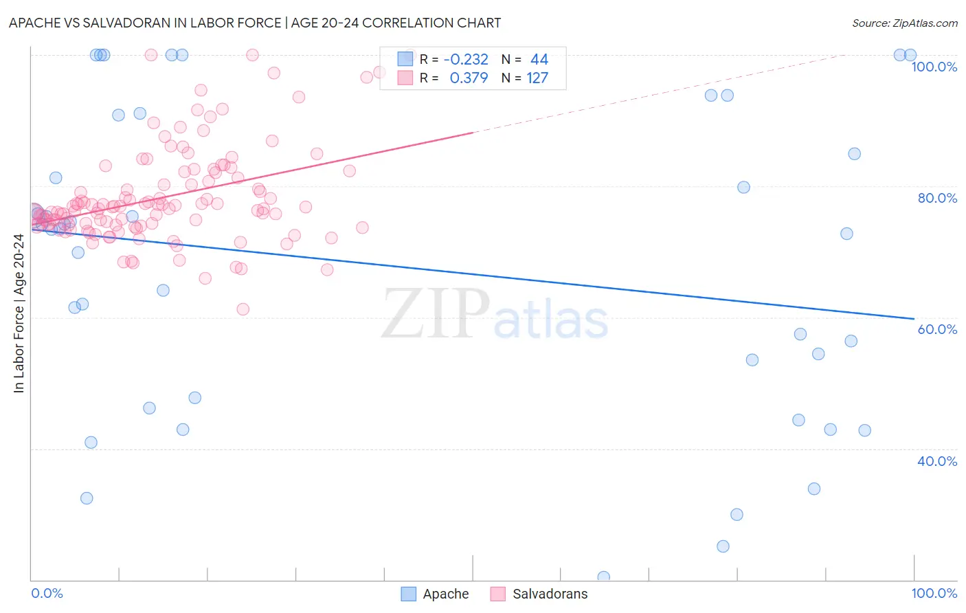Apache vs Salvadoran In Labor Force | Age 20-24