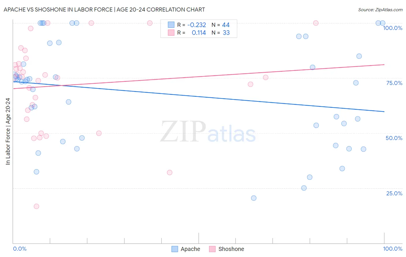 Apache vs Shoshone In Labor Force | Age 20-24