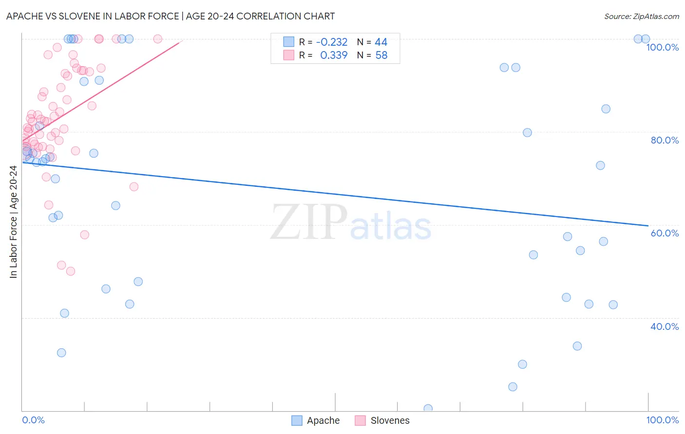 Apache vs Slovene In Labor Force | Age 20-24