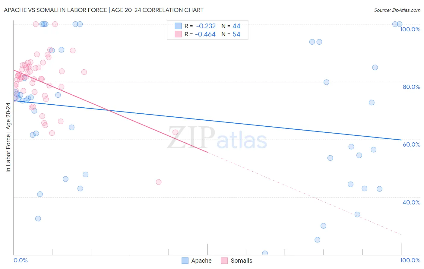 Apache vs Somali In Labor Force | Age 20-24