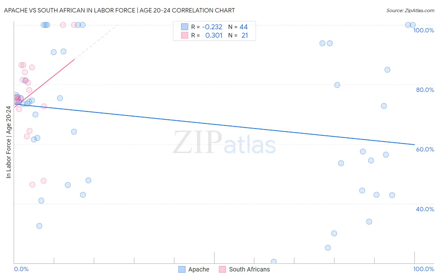 Apache vs South African In Labor Force | Age 20-24