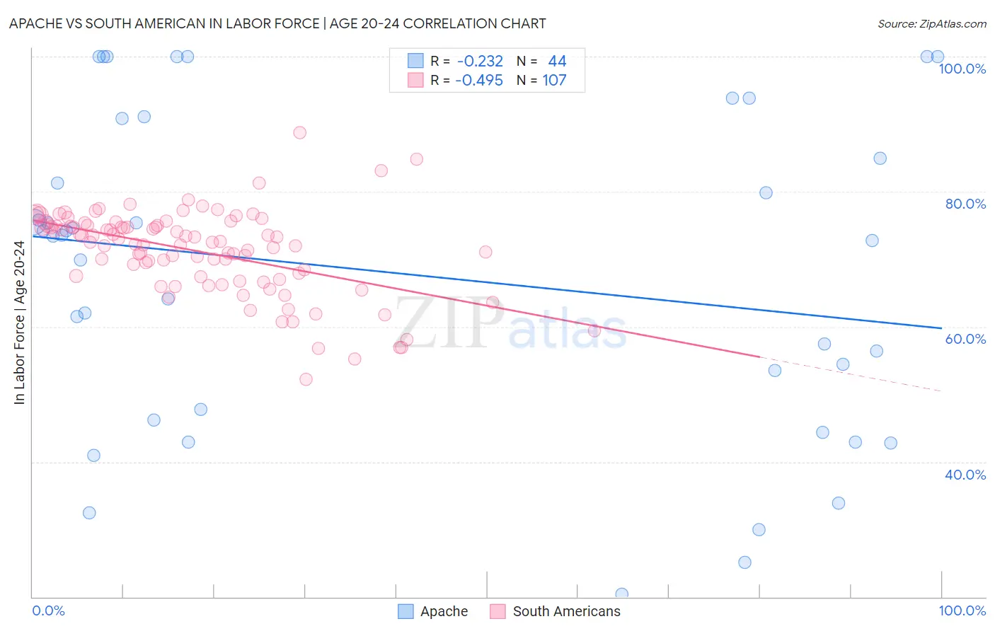 Apache vs South American In Labor Force | Age 20-24