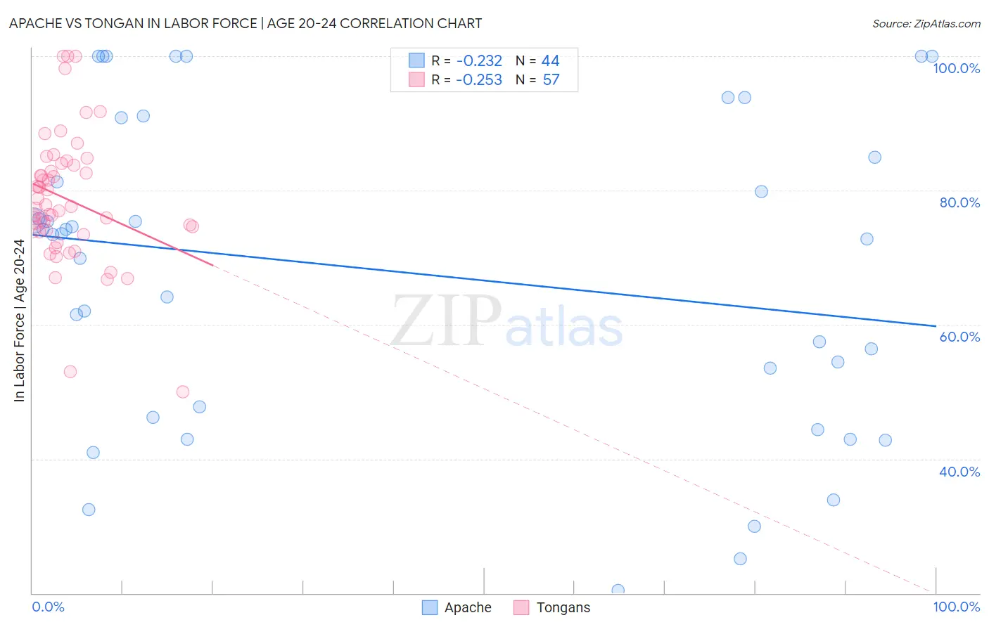 Apache vs Tongan In Labor Force | Age 20-24