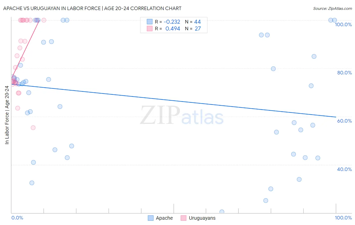 Apache vs Uruguayan In Labor Force | Age 20-24