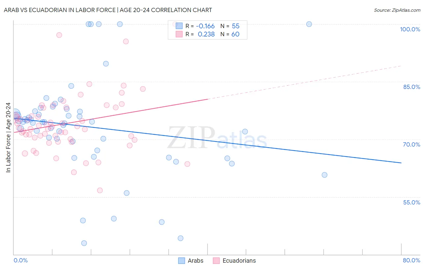Arab vs Ecuadorian In Labor Force | Age 20-24