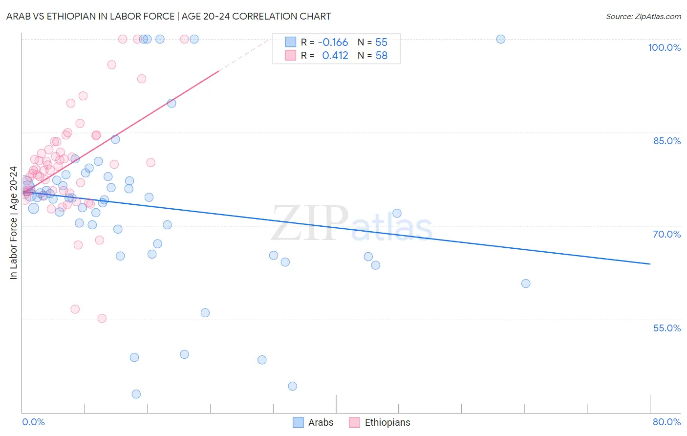 Arab vs Ethiopian In Labor Force | Age 20-24