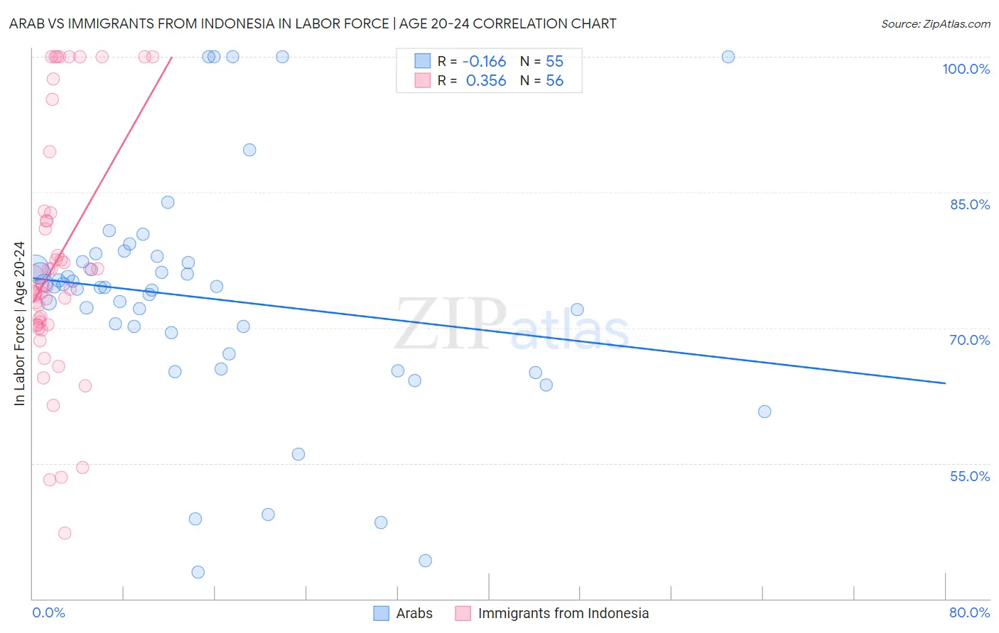 Arab vs Immigrants from Indonesia In Labor Force | Age 20-24