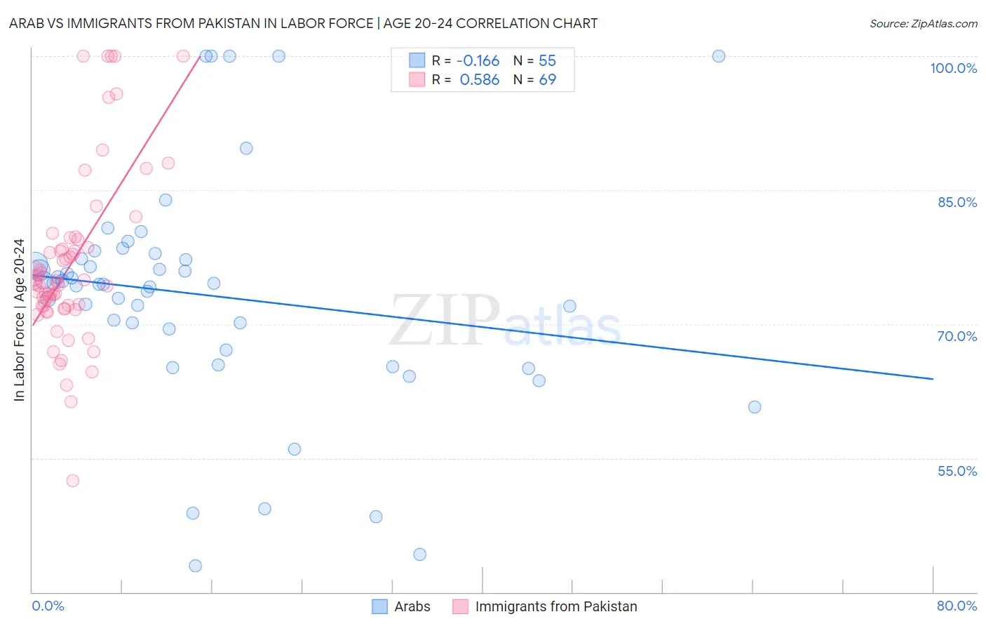 Arab vs Immigrants from Pakistan In Labor Force | Age 20-24