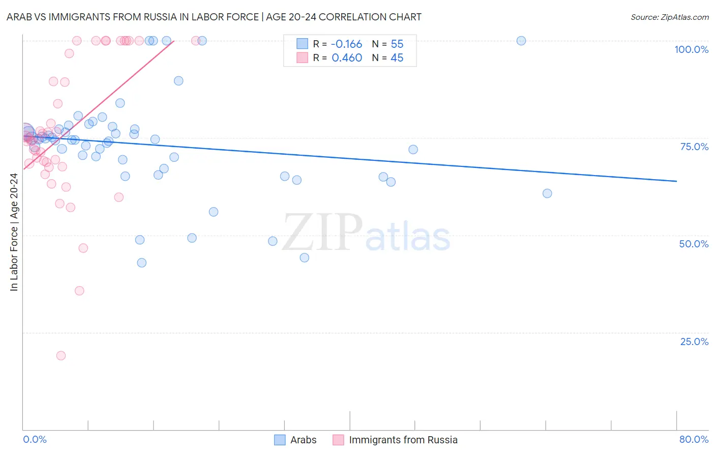 Arab vs Immigrants from Russia In Labor Force | Age 20-24