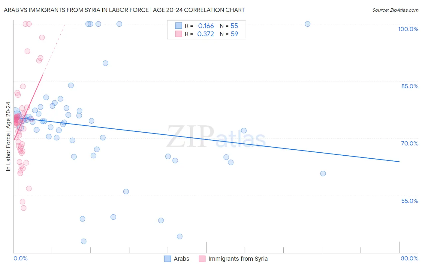 Arab vs Immigrants from Syria In Labor Force | Age 20-24