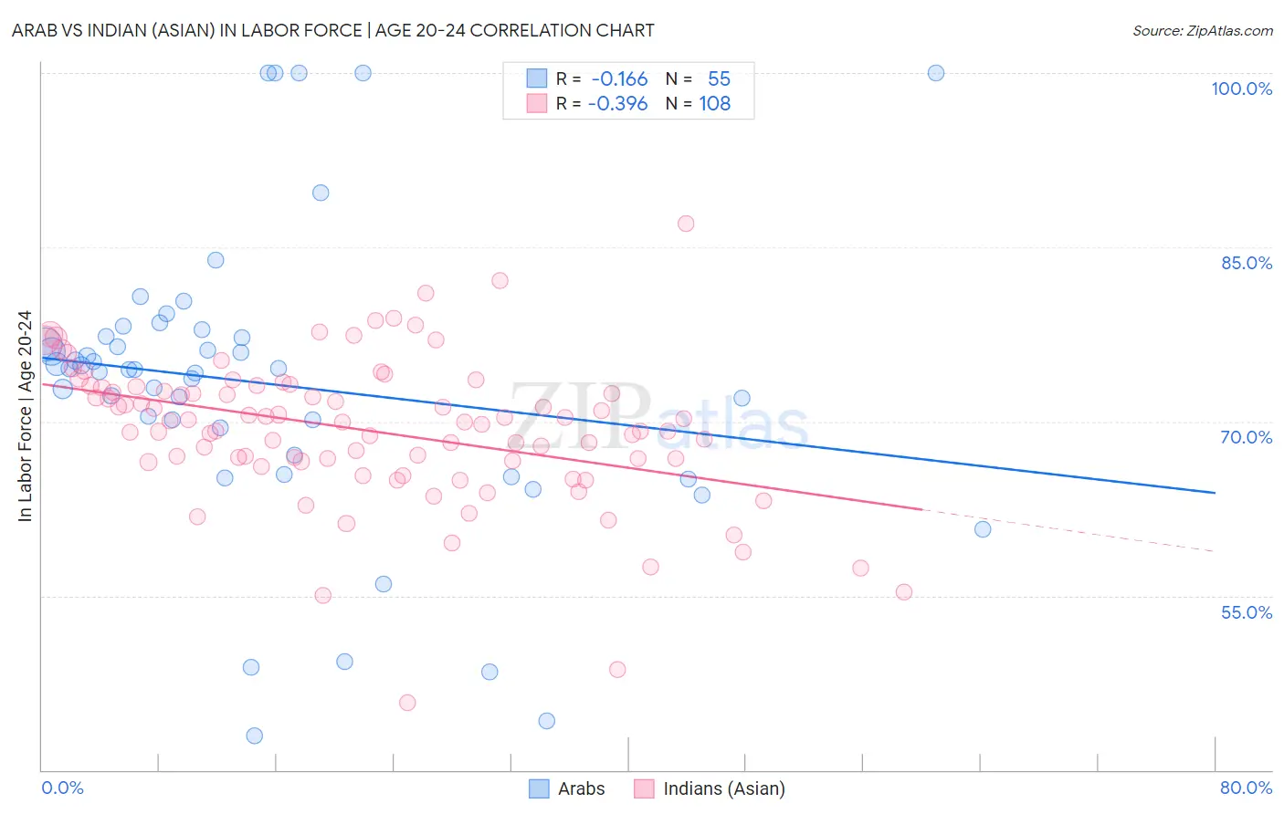 Arab vs Indian (Asian) In Labor Force | Age 20-24