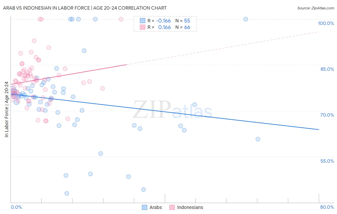 Arab vs Indonesian In Labor Force | Age 20-24