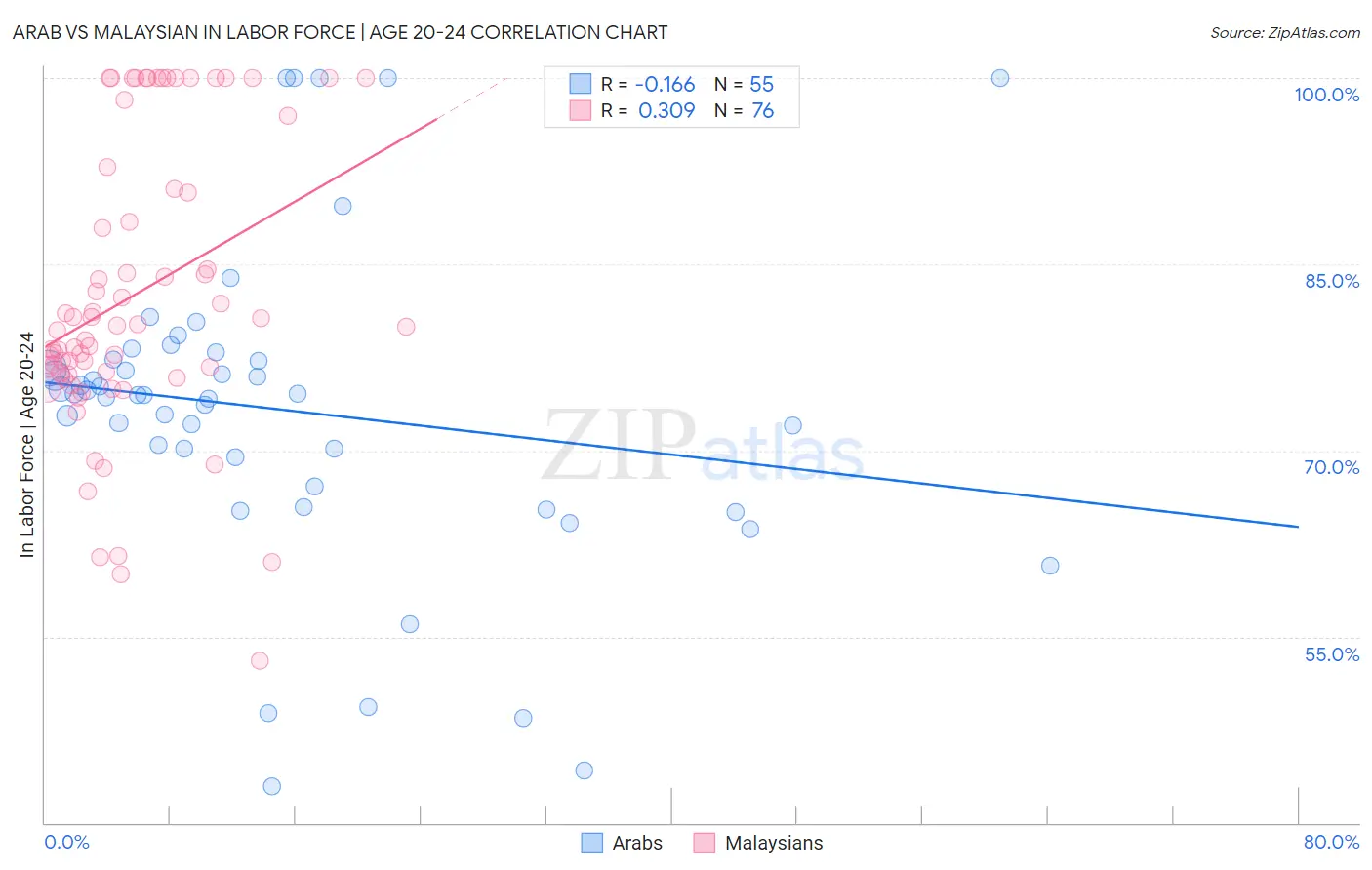 Arab vs Malaysian In Labor Force | Age 20-24