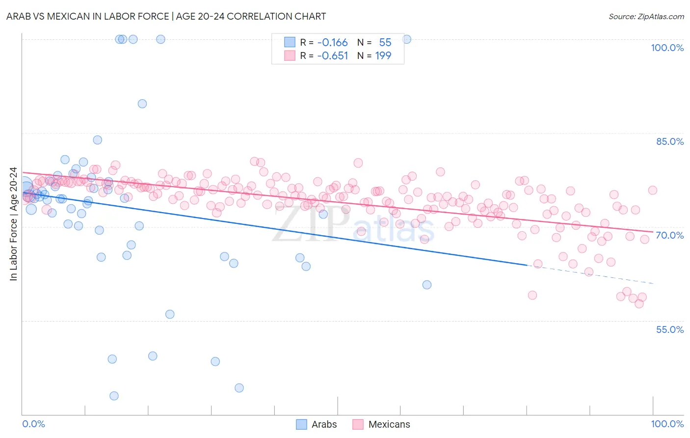 Arab vs Mexican In Labor Force | Age 20-24