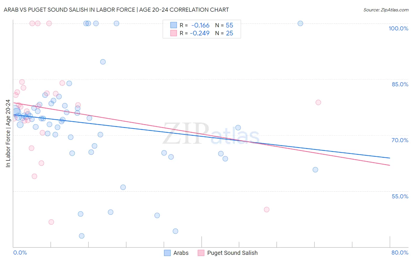 Arab vs Puget Sound Salish In Labor Force | Age 20-24