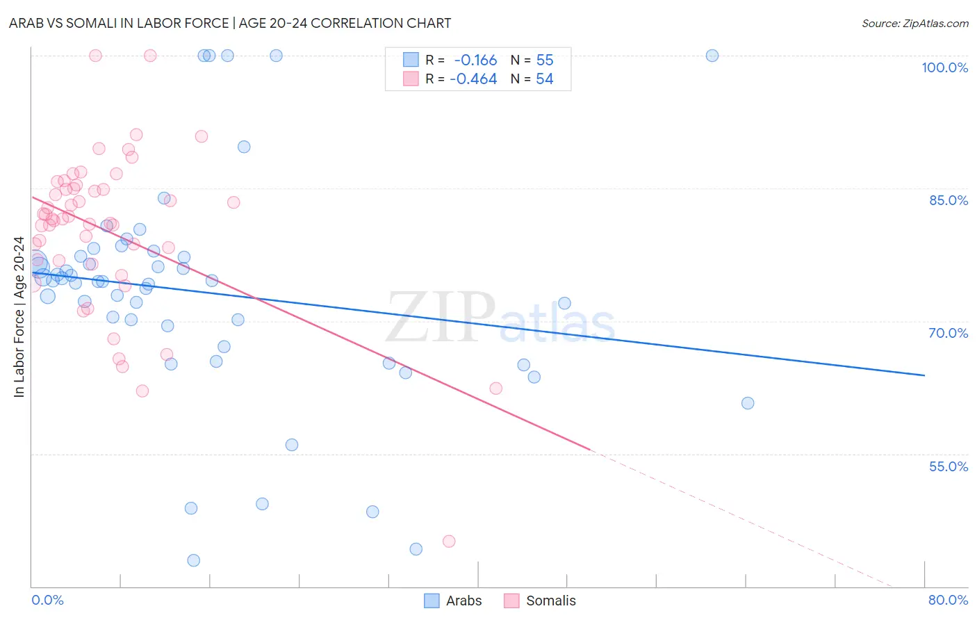 Arab vs Somali In Labor Force | Age 20-24