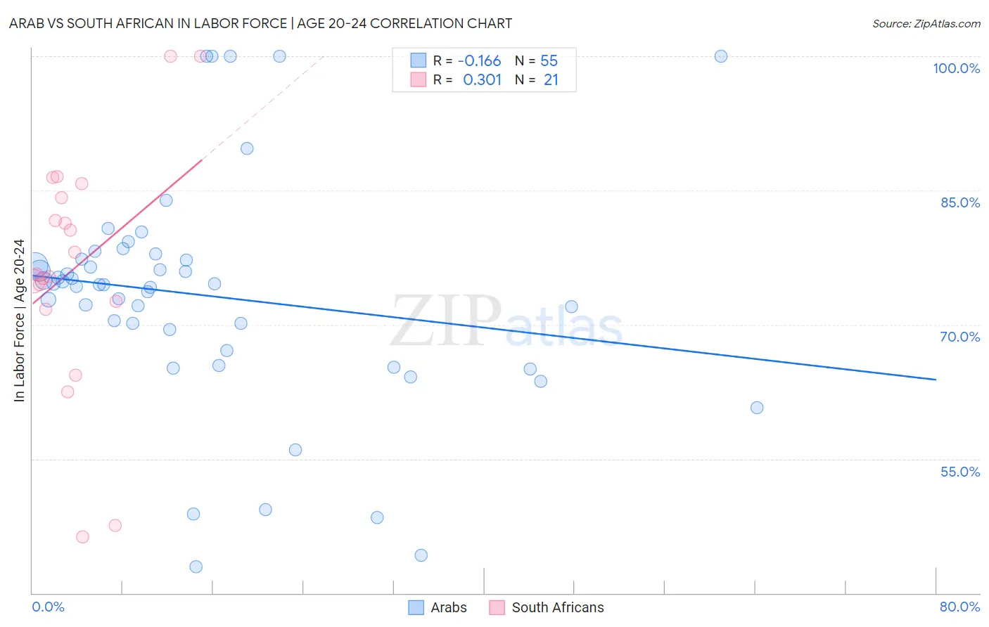 Arab vs South African In Labor Force | Age 20-24