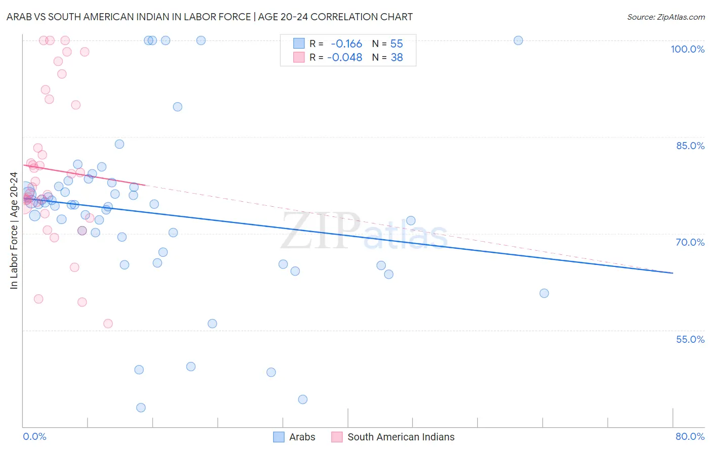 Arab vs South American Indian In Labor Force | Age 20-24