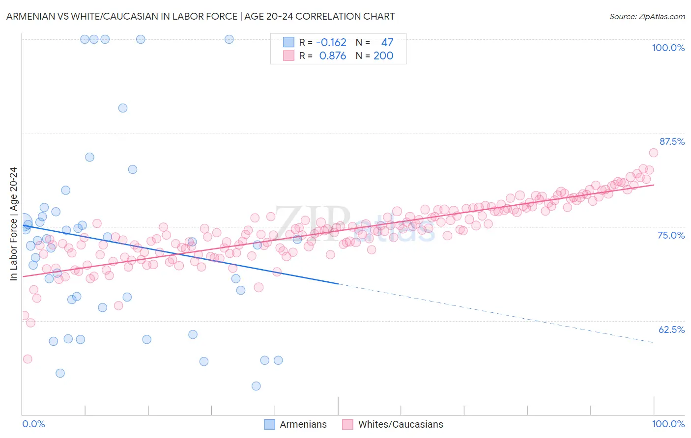 Armenian vs White/Caucasian In Labor Force | Age 20-24