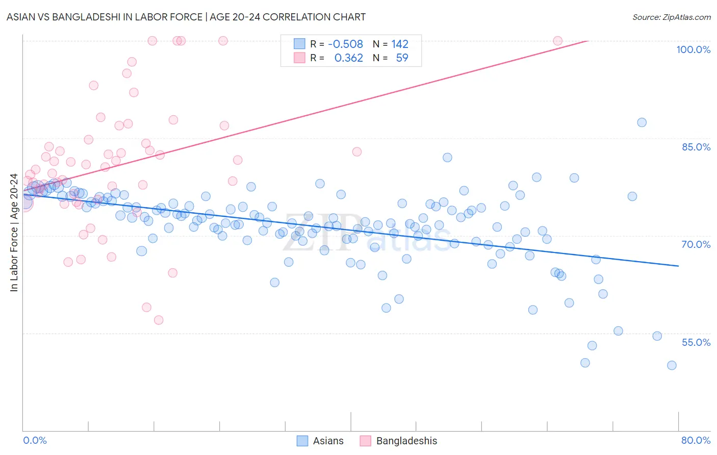 Asian vs Bangladeshi In Labor Force | Age 20-24