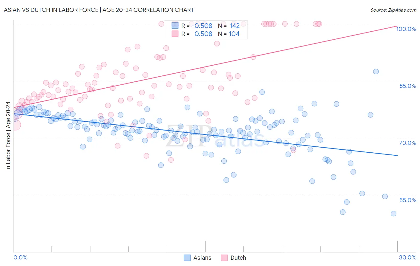 Asian vs Dutch In Labor Force | Age 20-24