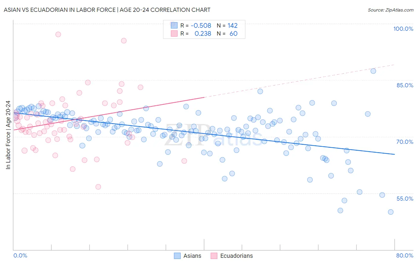 Asian vs Ecuadorian In Labor Force | Age 20-24