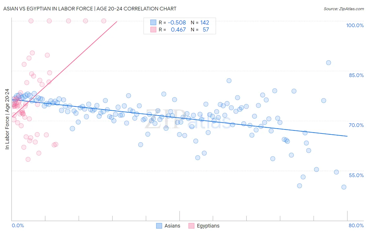 Asian vs Egyptian In Labor Force | Age 20-24