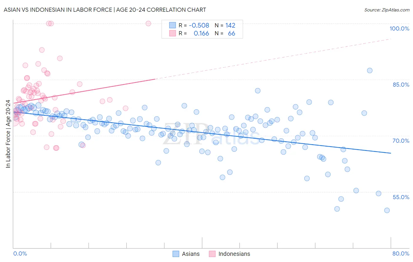 Asian vs Indonesian In Labor Force | Age 20-24