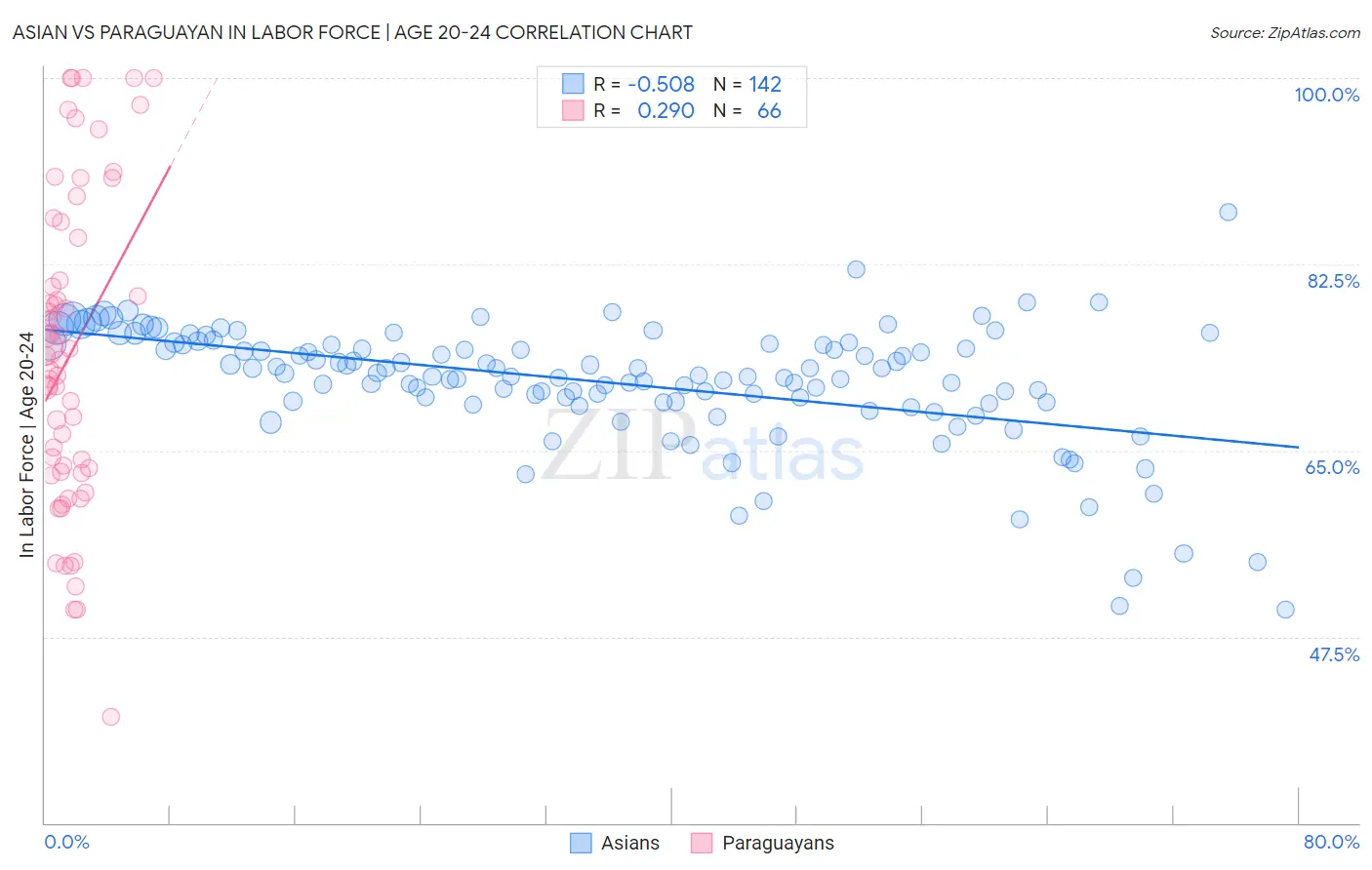 Asian vs Paraguayan In Labor Force | Age 20-24