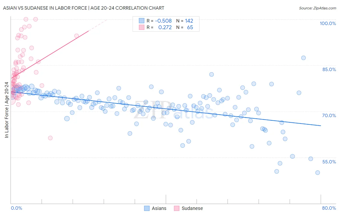 Asian vs Sudanese In Labor Force | Age 20-24