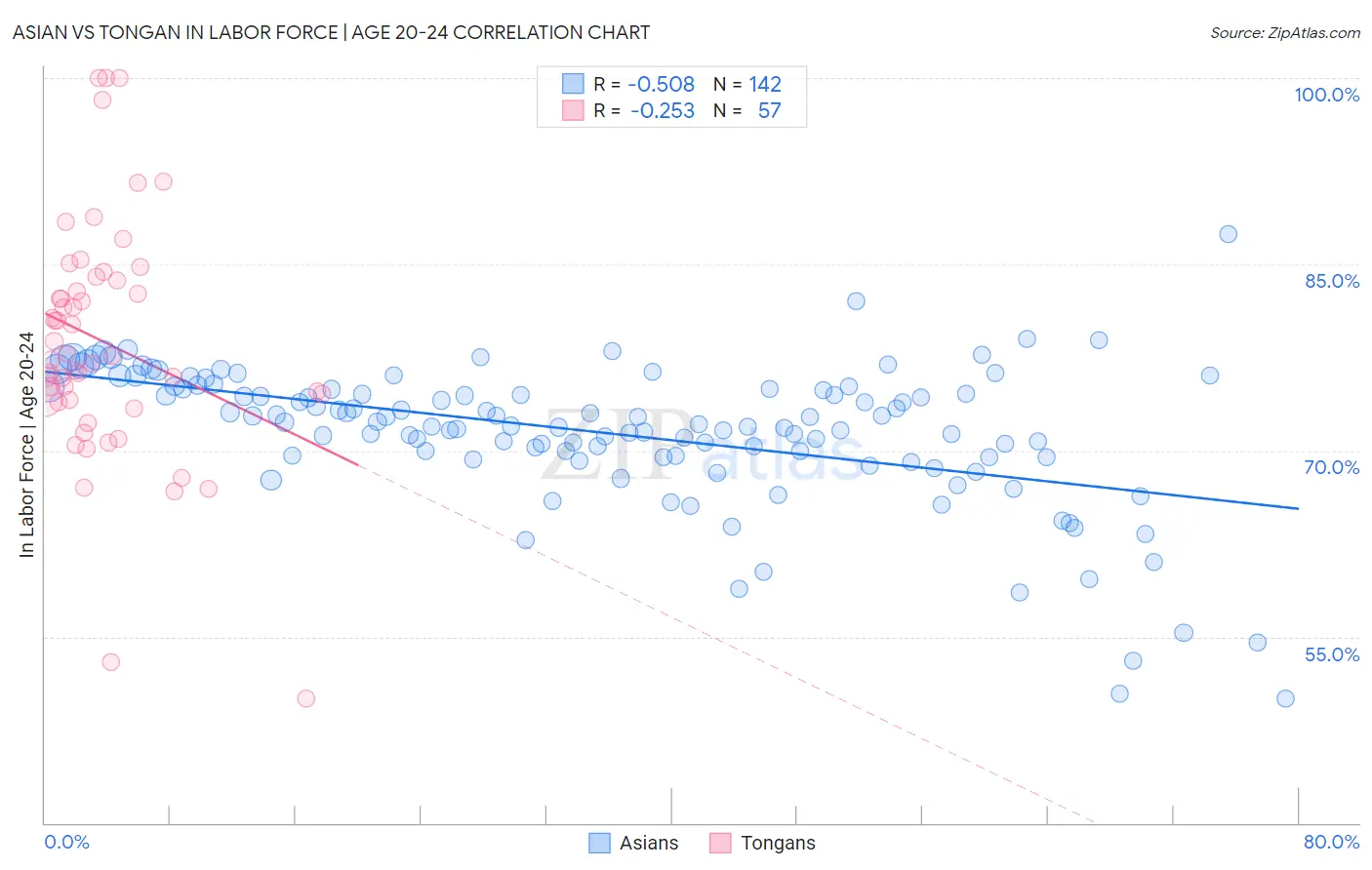 Asian vs Tongan In Labor Force | Age 20-24