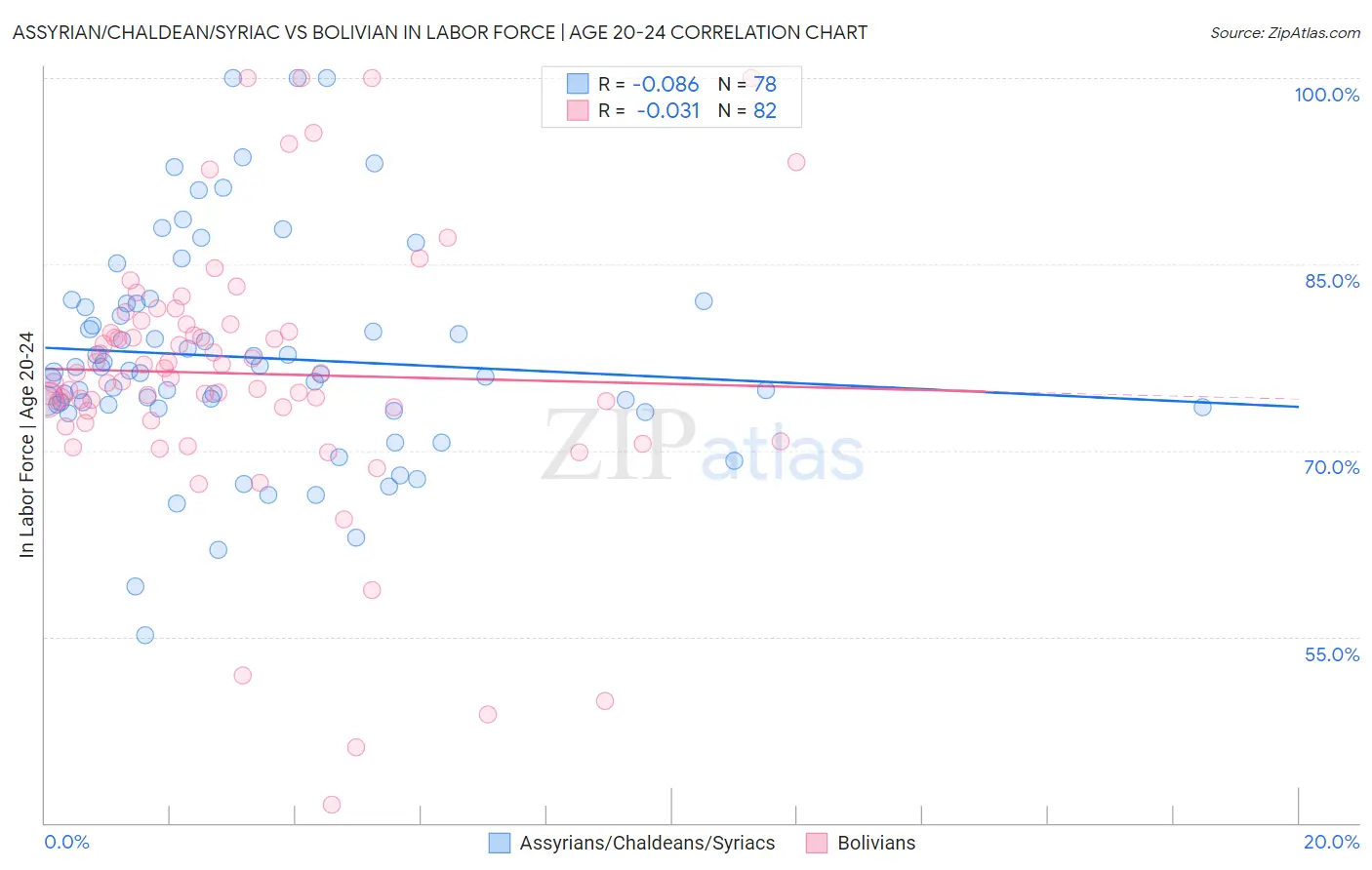 Assyrian/Chaldean/Syriac vs Bolivian In Labor Force | Age 20-24