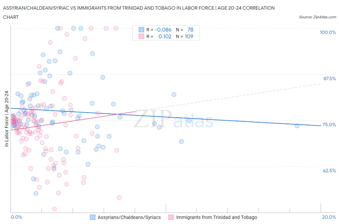 Assyrian/Chaldean/Syriac vs Immigrants from Trinidad and Tobago In Labor Force | Age 20-24