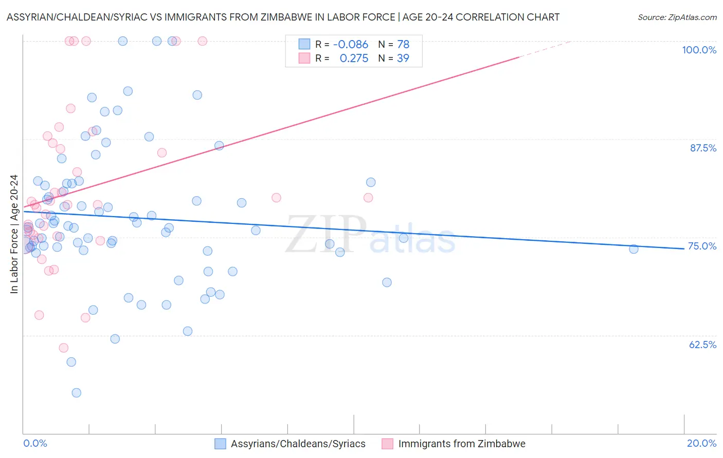 Assyrian/Chaldean/Syriac vs Immigrants from Zimbabwe In Labor Force | Age 20-24