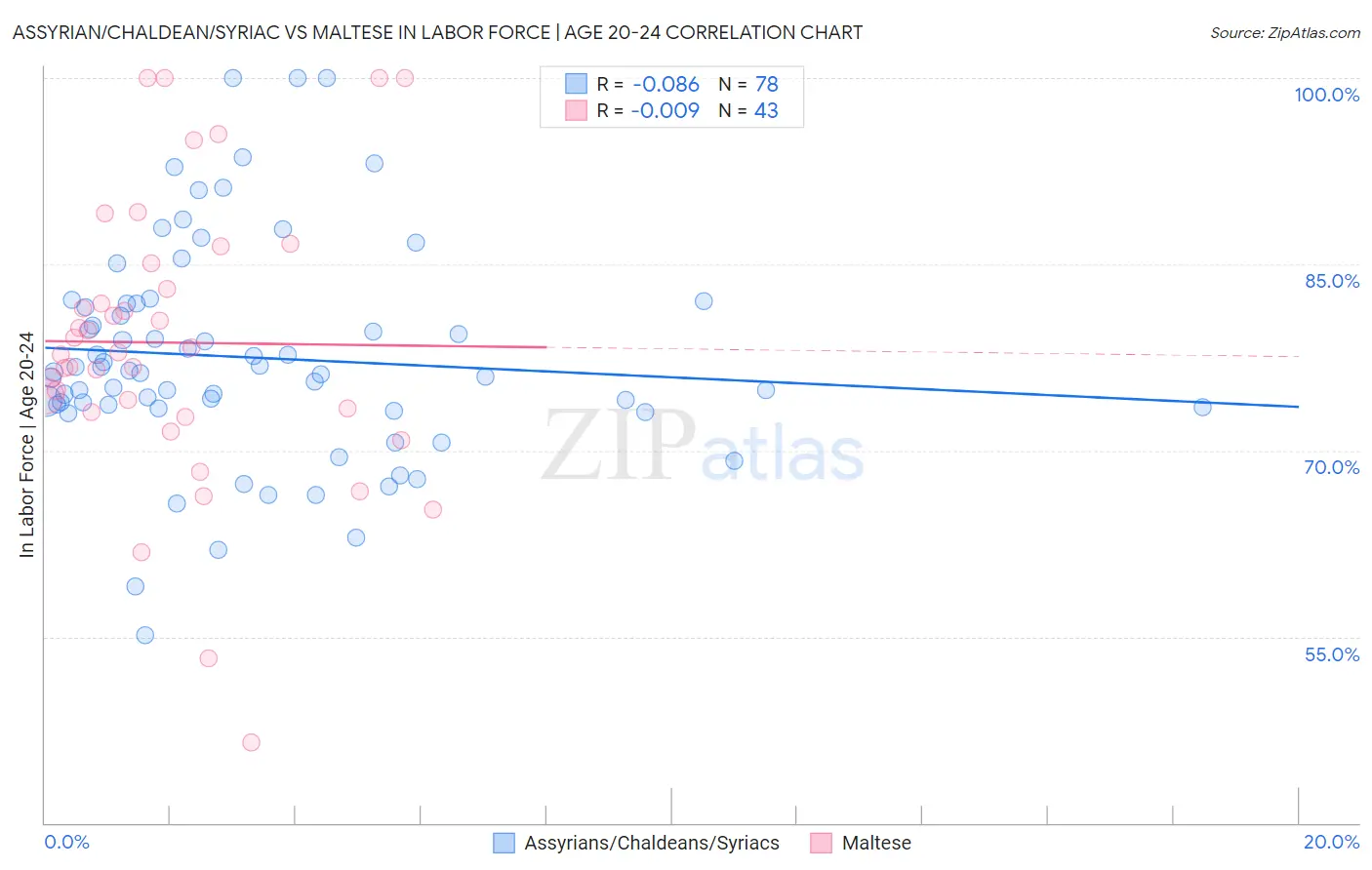 Assyrian/Chaldean/Syriac vs Maltese In Labor Force | Age 20-24
