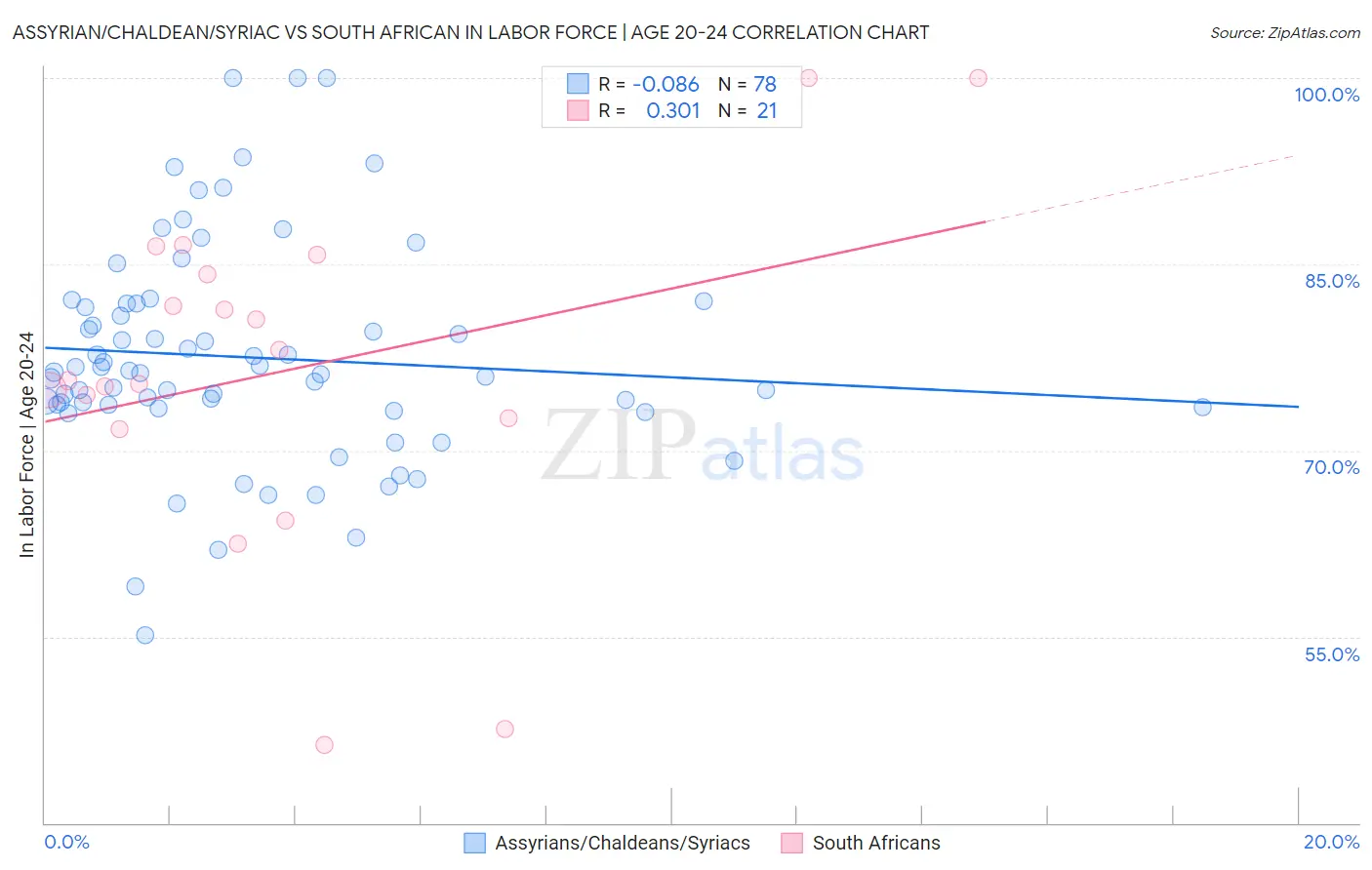 Assyrian/Chaldean/Syriac vs South African In Labor Force | Age 20-24
