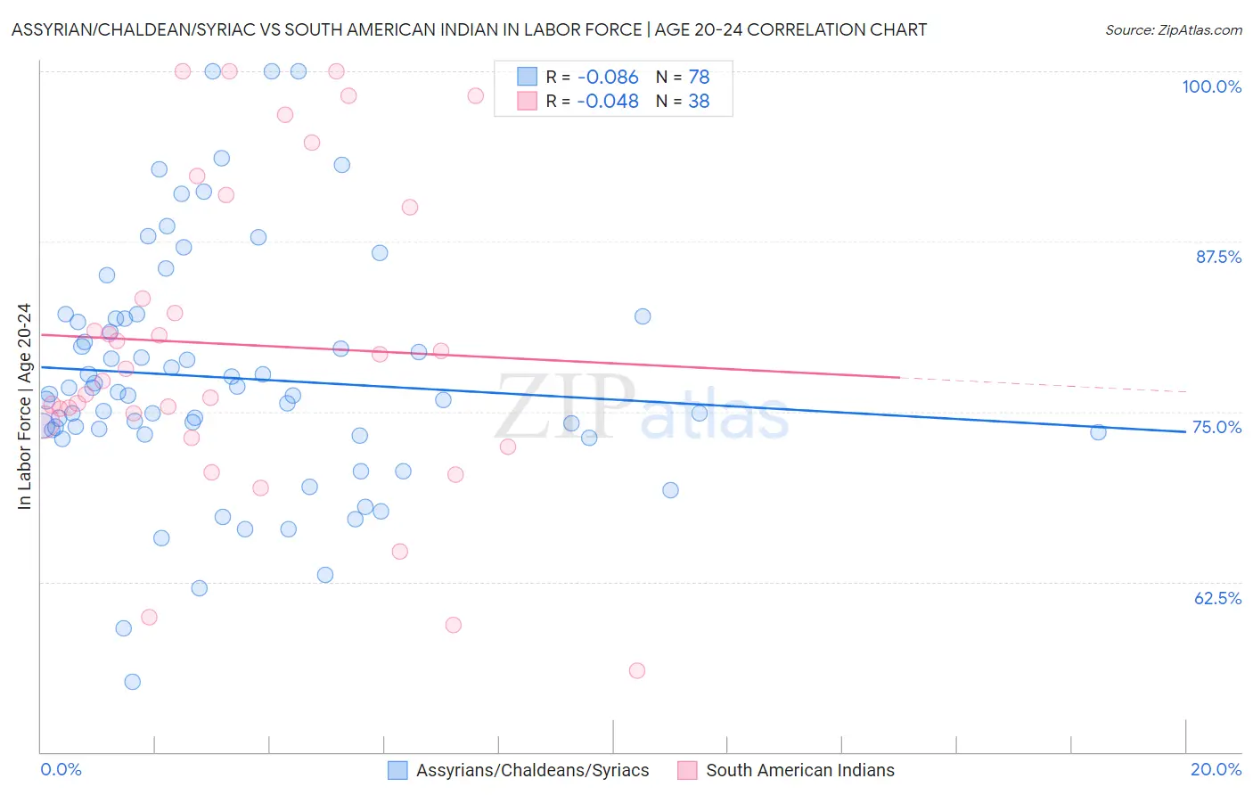 Assyrian/Chaldean/Syriac vs South American Indian In Labor Force | Age 20-24