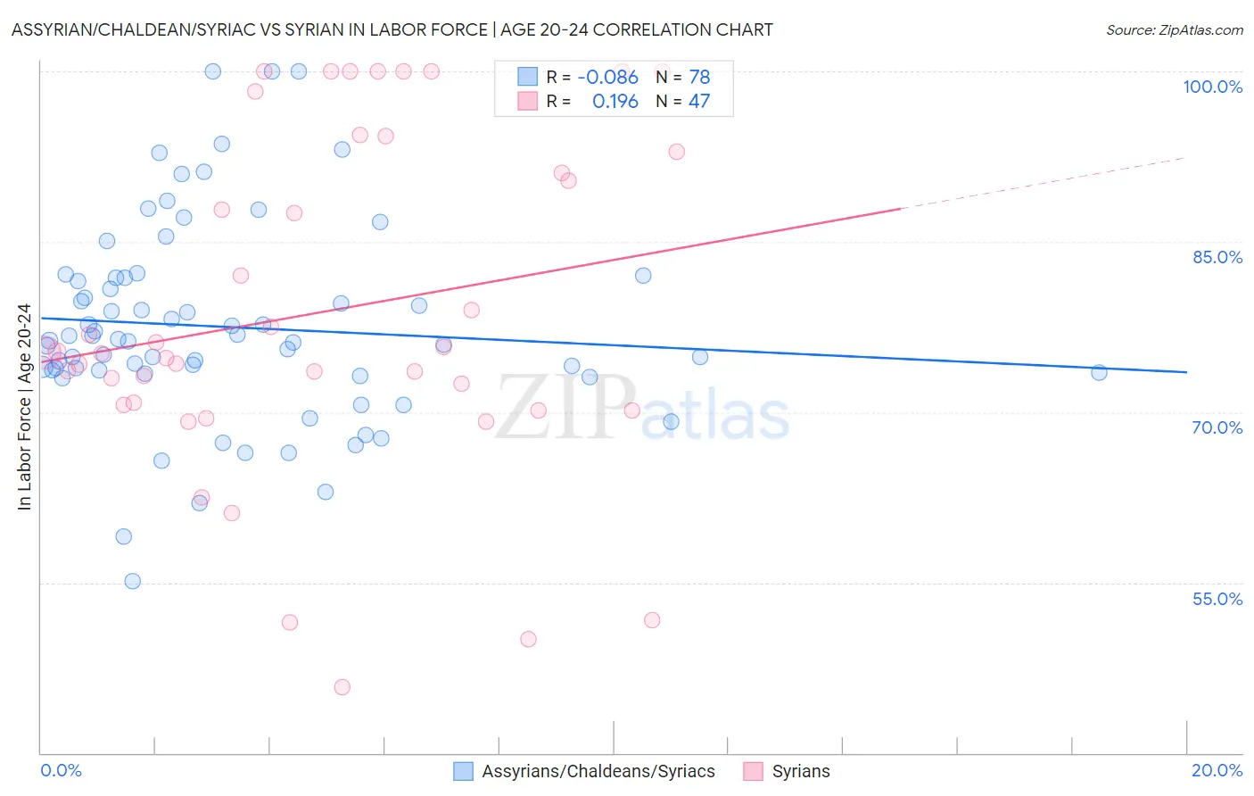 Assyrian/Chaldean/Syriac vs Syrian In Labor Force | Age 20-24