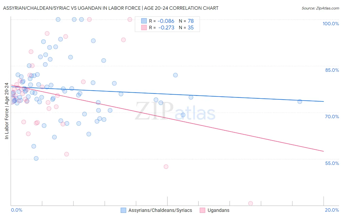 Assyrian/Chaldean/Syriac vs Ugandan In Labor Force | Age 20-24