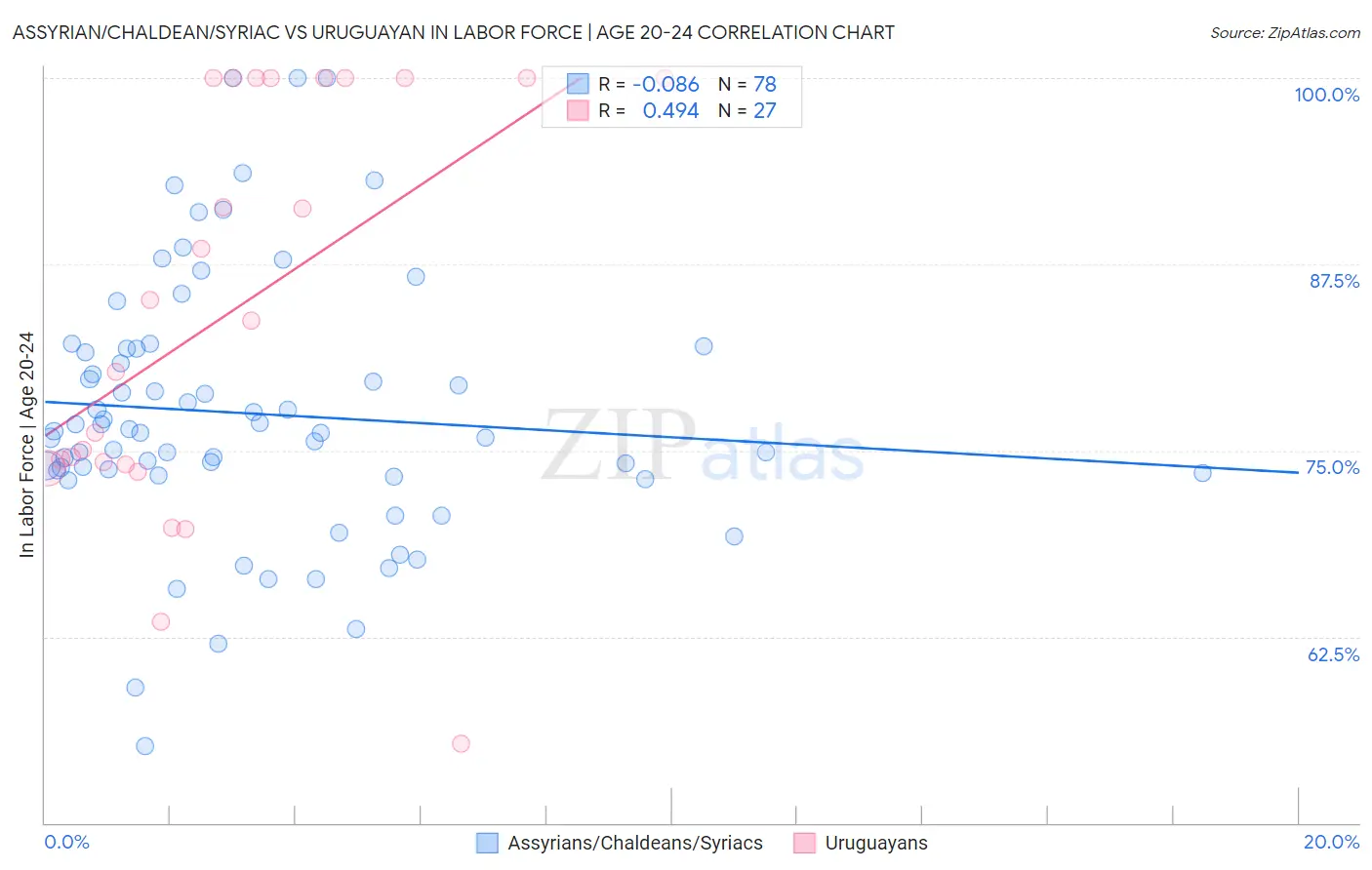 Assyrian/Chaldean/Syriac vs Uruguayan In Labor Force | Age 20-24