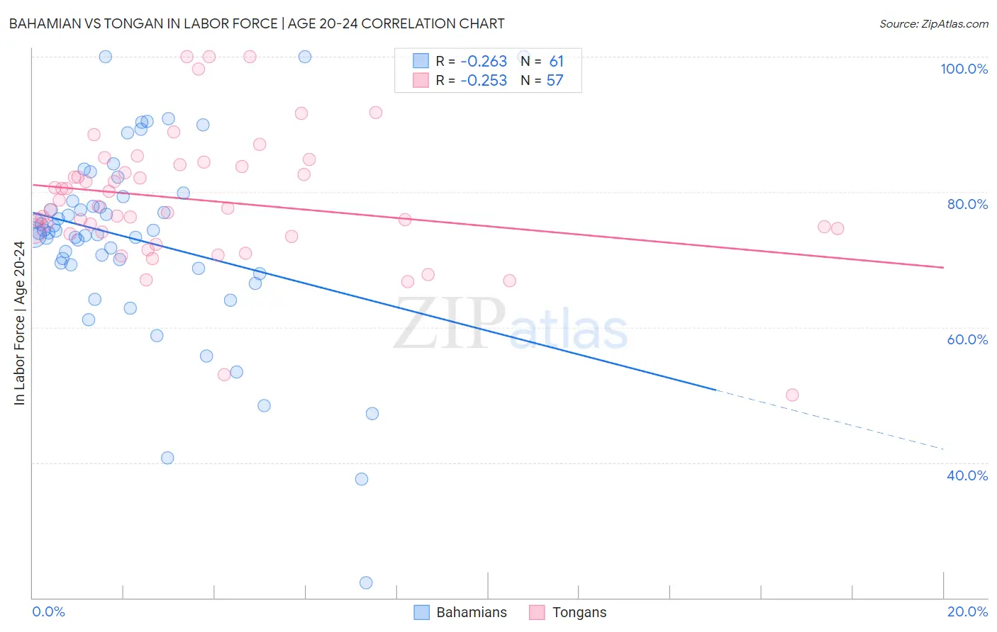 Bahamian vs Tongan In Labor Force | Age 20-24