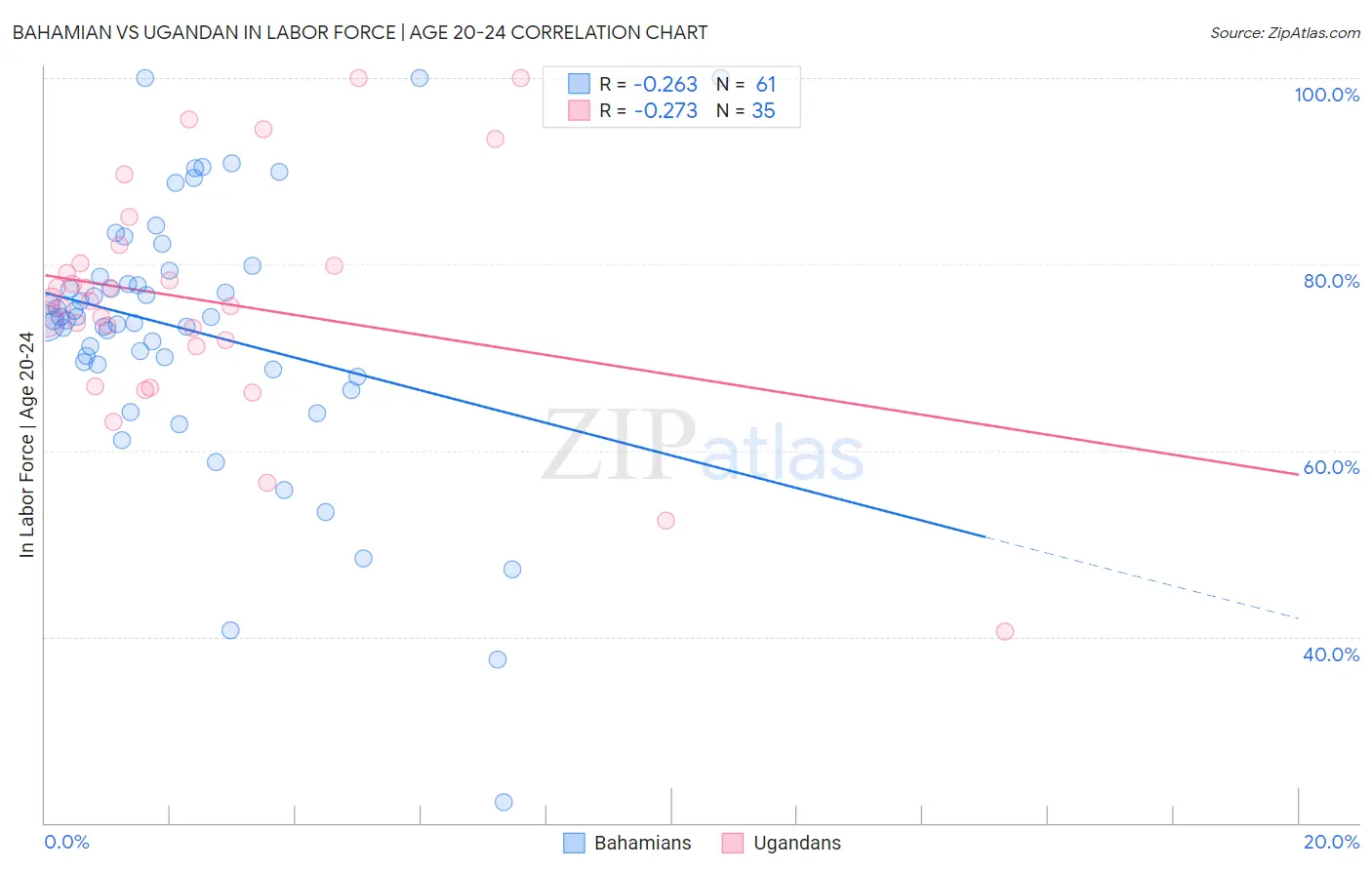 Bahamian vs Ugandan In Labor Force | Age 20-24