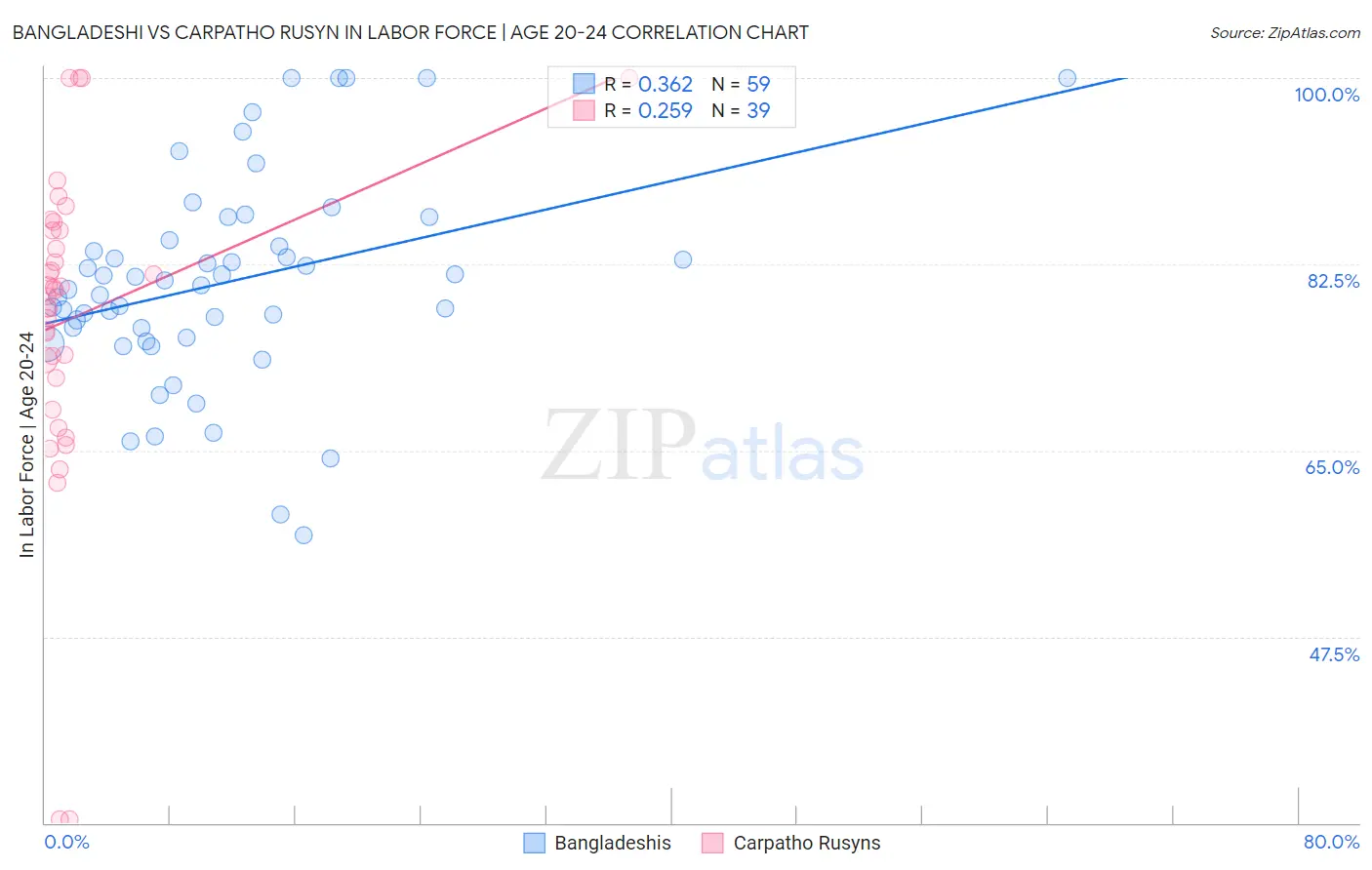 Bangladeshi vs Carpatho Rusyn In Labor Force | Age 20-24