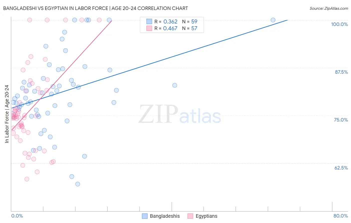 Bangladeshi vs Egyptian In Labor Force | Age 20-24